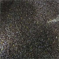 भुने हुए अलसी के बीज