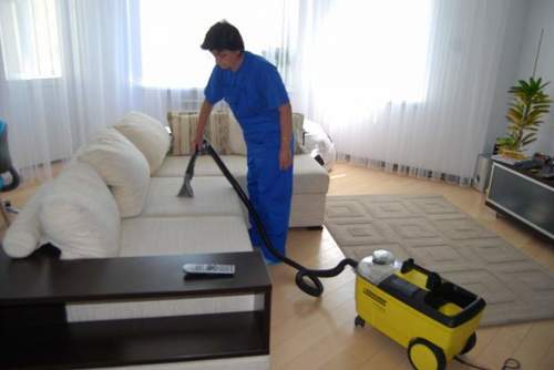 Sofa Cum Bed Shampoo Cleaning