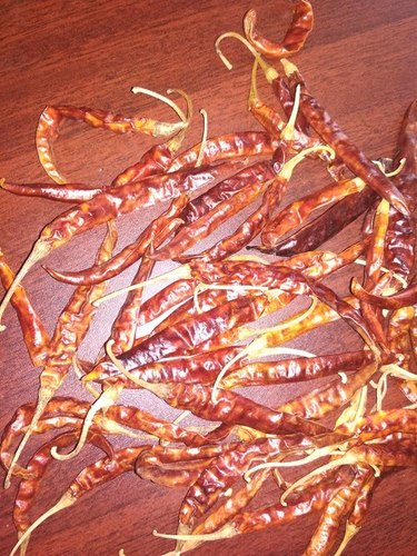 teja red chilli teja red chilli