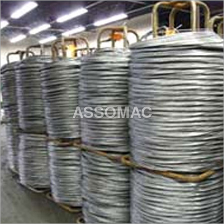 Stainless Steel Wire Plants