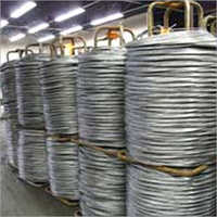 Stainless Steel Wire Plants