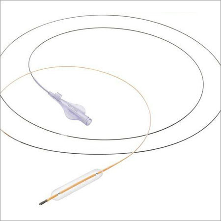 Pantra Leo Balloon