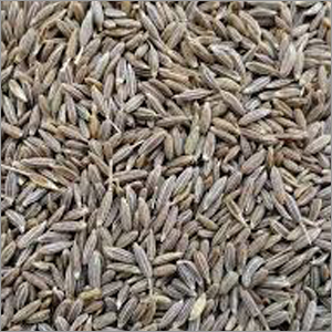 Cumin Seeds