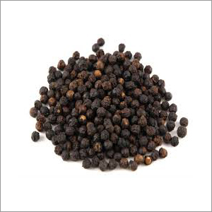 Black Pepper
