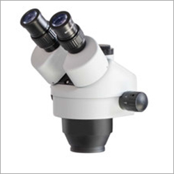 Head Of The Microscope Series