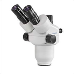 Head Of The Microscope Series