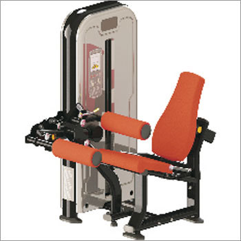 Seated Leg Curl