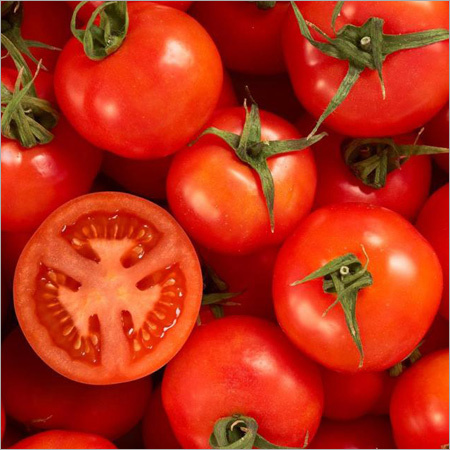 Fresh Tomato