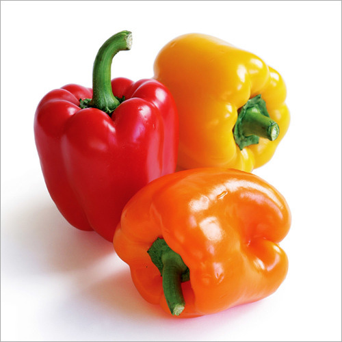 Capsicum
