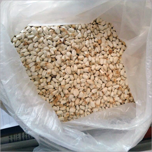 Saffron Seeds Suppliers, Kesar Seeds Exporters, Manufacturers