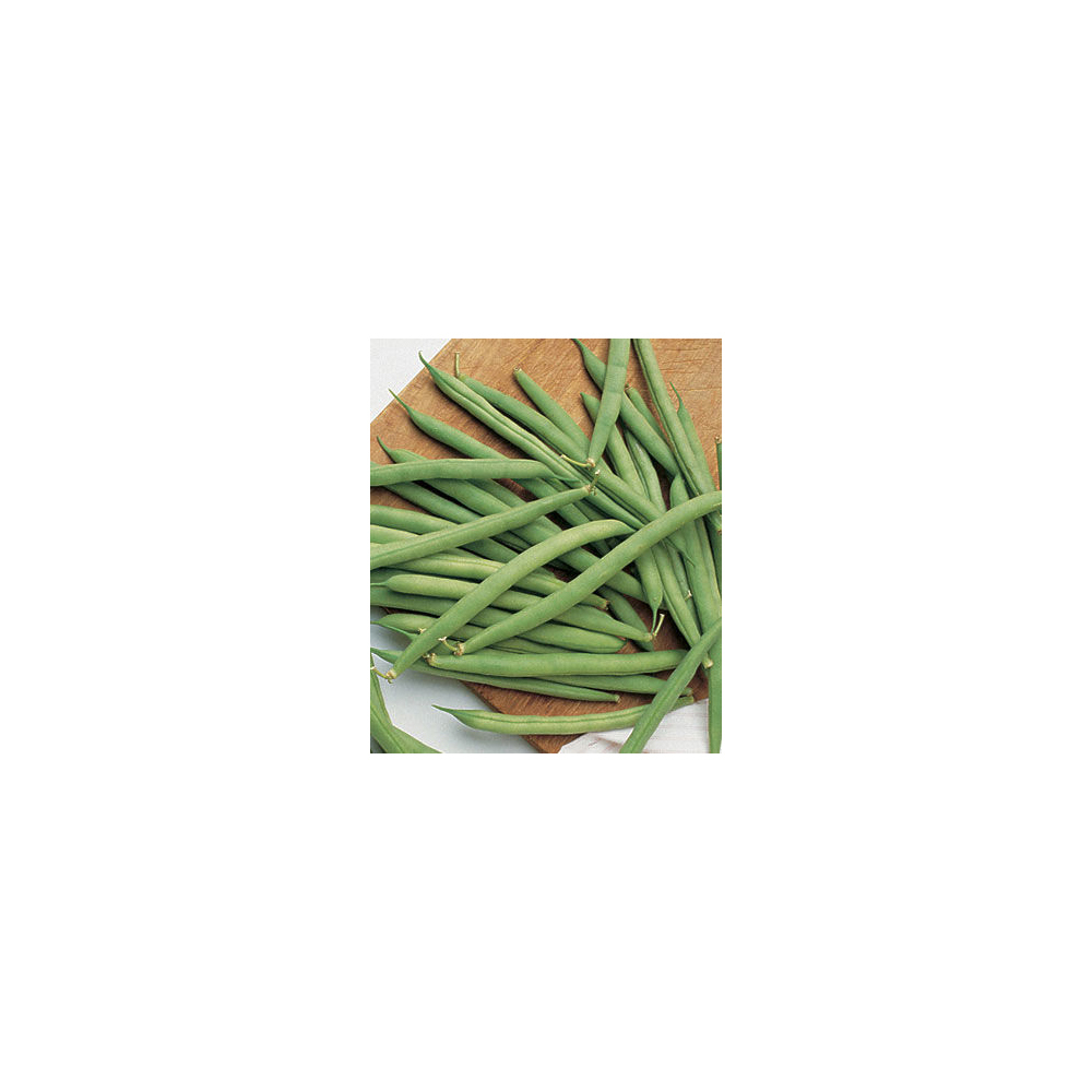 Beans