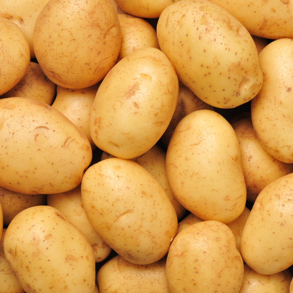 Potato - 7-10cm Oval, Yellowish-Brown | Fresh, Tasty, Versatile, Nutritious, High-Yield, Easy-to-Grow