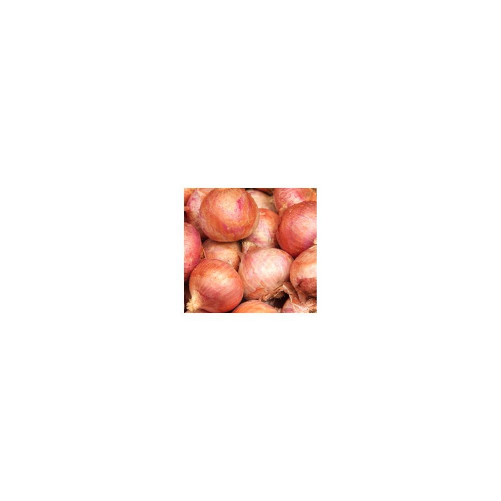 Siddhi Organic Vegetables