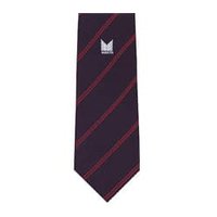 Brown And Maroon Promotional  Single Logo Ties