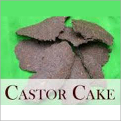 Castor Cake
