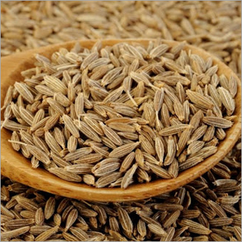 Cumin Seed