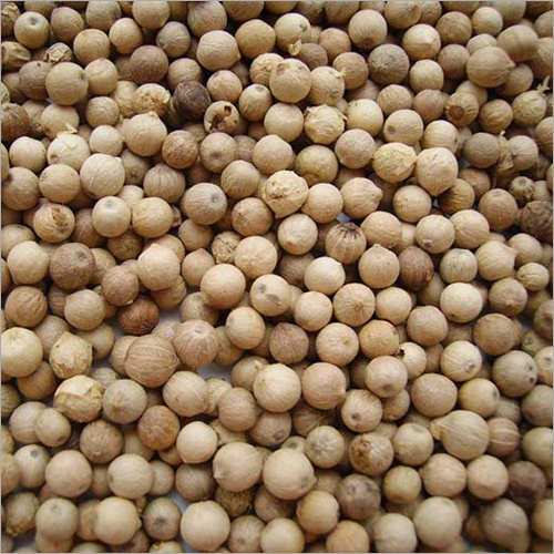 White Pepper