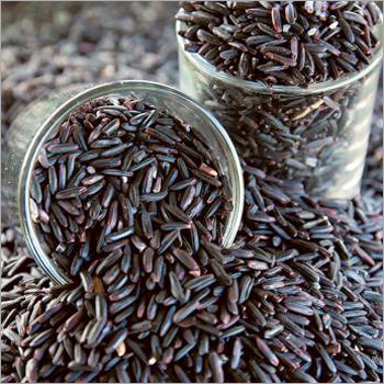 Black Rice
