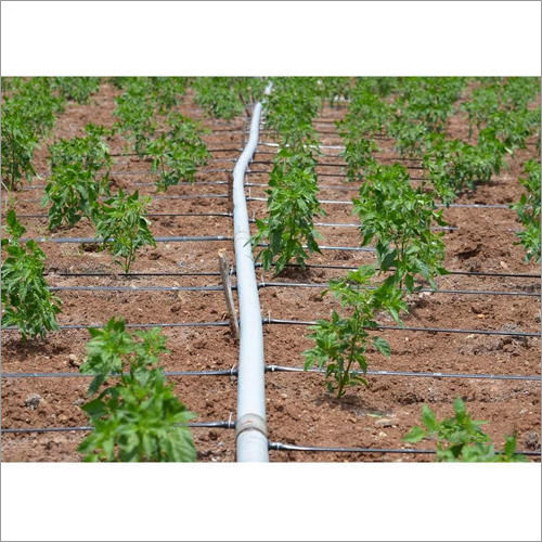 Online Drip Irrigation System