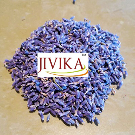Lavender Dry Flowers