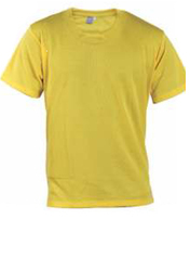 Round Neck Dry Fit Promotional T- Shirt