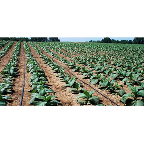 Drip Irrigation Systems Application: Agriculture