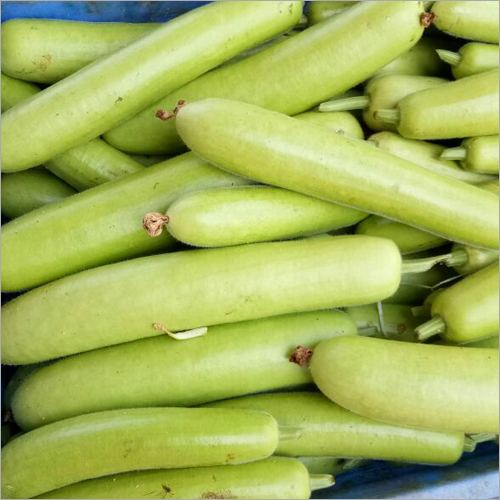 Bottle Gourd