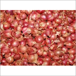 Red Onion