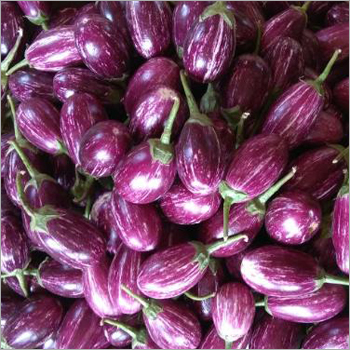 Organic Brinjal