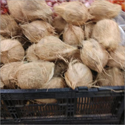 Mature Coconut