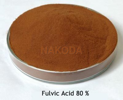 Fulvic Acid Powder By NAKODA CHEMICALS PVT. LTD.