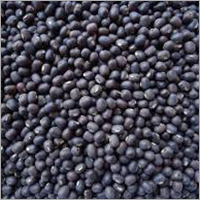 Black Gram