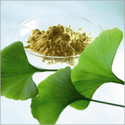 High-Quality Organic Ginkgo Biloba Extract