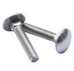 Stainless Stell Carriage Bolt