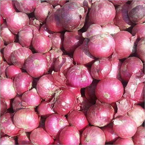 Pink Onion