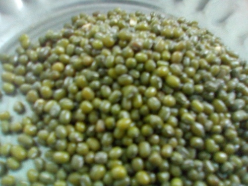 Green Millet Admixture (%): 1%