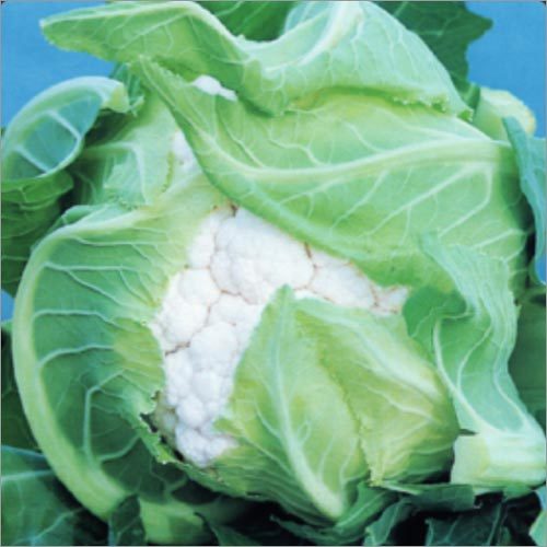 Cauliflower Durgesh