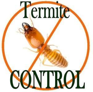 Termite Control By MIRANDA & NANDA MAINTENANCE SERVICES LLP