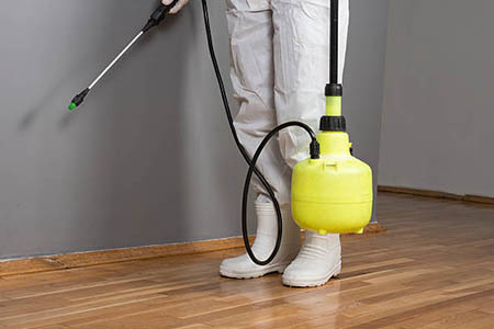 Wooden Flooring Pest Control