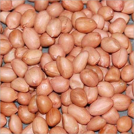 Groundnut Kernels