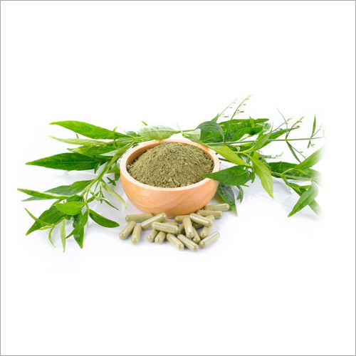 Andrographis Paniculata Extract