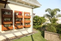 Wall Mounted Wooden Plant Pot Rack