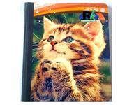 100 Sheets Small Composition Notebook