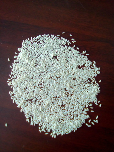 GR11 steam rice