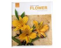 A4 Exercise Notebook - 60 Gsm Paper, 21 X 29.7 Cm Size, Stapled Binding, 48 Sheets, Four Color Printing, 130 Gsm Art Paper Cover | School Use, Rectangular Shape