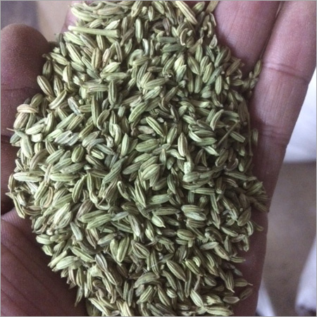 Fennel Seed