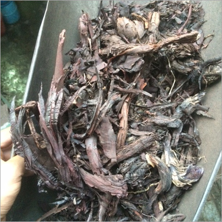 Ratanjot Bark
