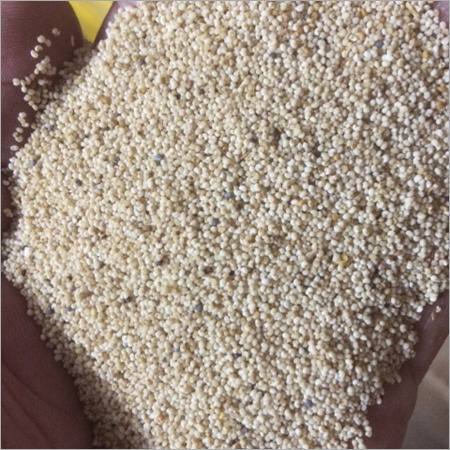 Poppy Seed