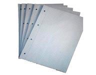 Quad Ruled Refill Notepad - 100 Sheets A4 Size 18x26cm | Soft Binding 80 GSM Woodfree Outer Cover Ideal for School Use