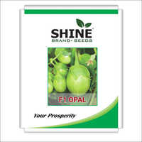 Green Brinjal Seed